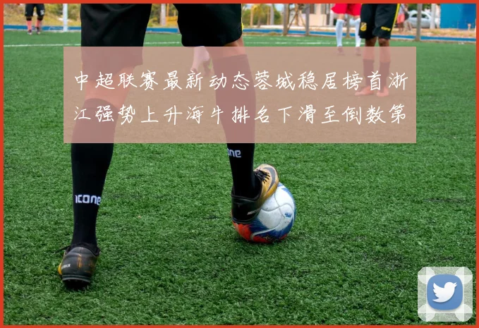 中超联赛最新动态蓉城稳居榜首浙江强势上升海牛排名下滑至倒数第三